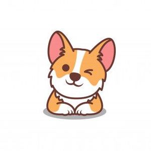 corgifrontwink