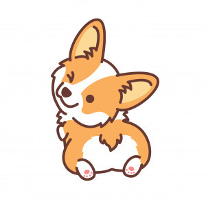 corgibackwink